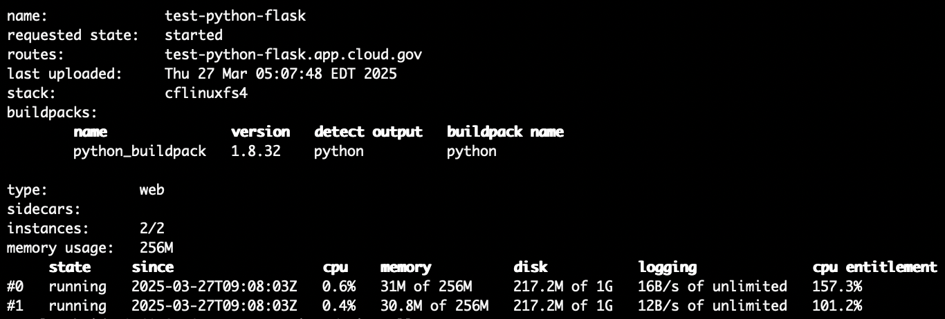 &quot;Screenshot of application summary printed in a terminal session by the cf app command&quot;